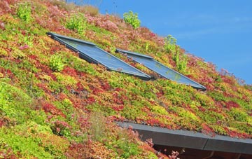 Littleton Drew living roof systems